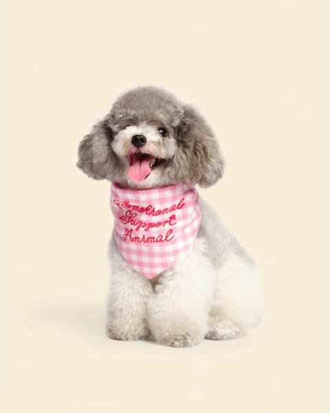 Celebrate National Dog Day with Chic Gifts for Your Favourite Pup