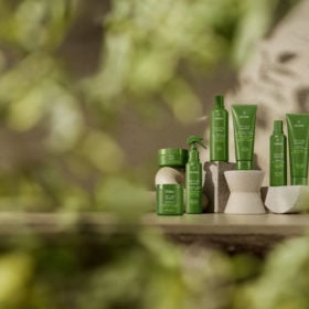 Aveda’s New Be Curly Advanced Haircare Is Here + More Beauty News